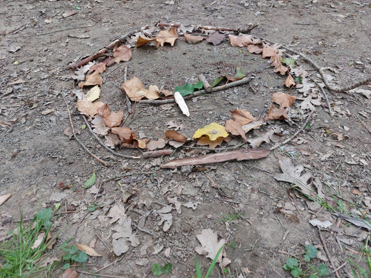 Bagni di Bosco: Riconnessione con la Natura e me stessa