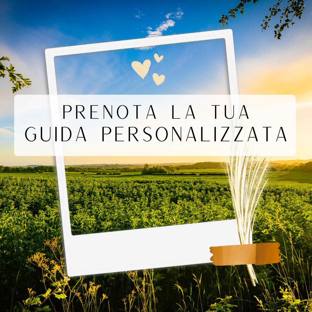 Prenota la tua guida su misura