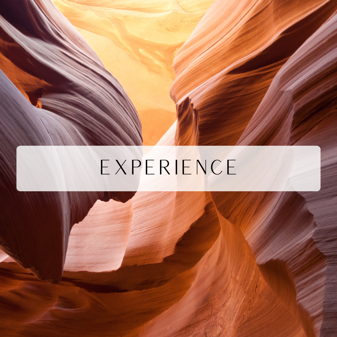Experience